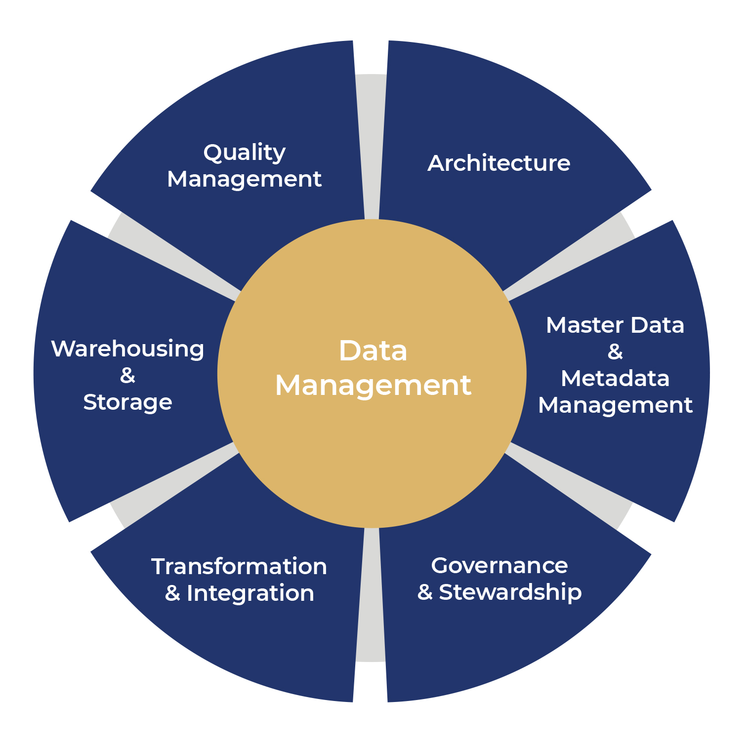 Impact of Ineffective Data Management Practices on Risk Management - Treliant